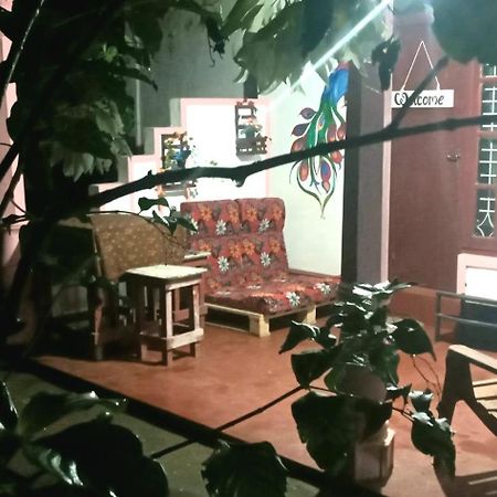 Sigiri Picaso Home Stay Σιγκιρίγια Εξωτερικό φωτογραφία