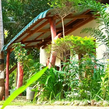 Sigiri Picaso Home Stay Σιγκιρίγια Εξωτερικό φωτογραφία