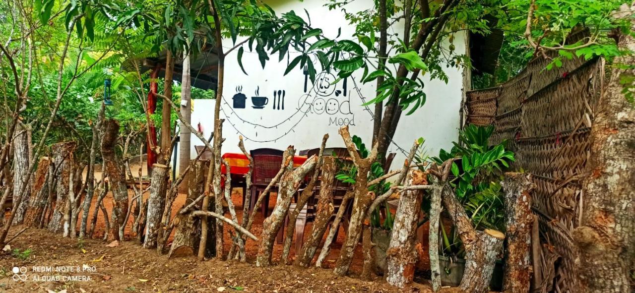 Sigiri Picaso Home Stay Σιγκιρίγια Εξωτερικό φωτογραφία
