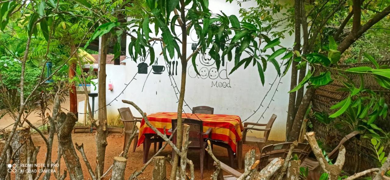 Sigiri Picaso Home Stay Σιγκιρίγια Εξωτερικό φωτογραφία