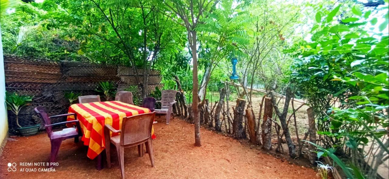 Sigiri Picaso Home Stay Σιγκιρίγια Εξωτερικό φωτογραφία