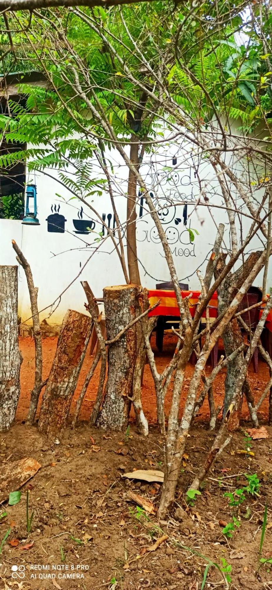 Sigiri Picaso Home Stay Σιγκιρίγια Εξωτερικό φωτογραφία
