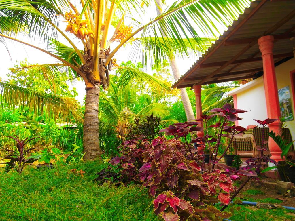 Sigiri Picaso Home Stay Σιγκιρίγια Εξωτερικό φωτογραφία
