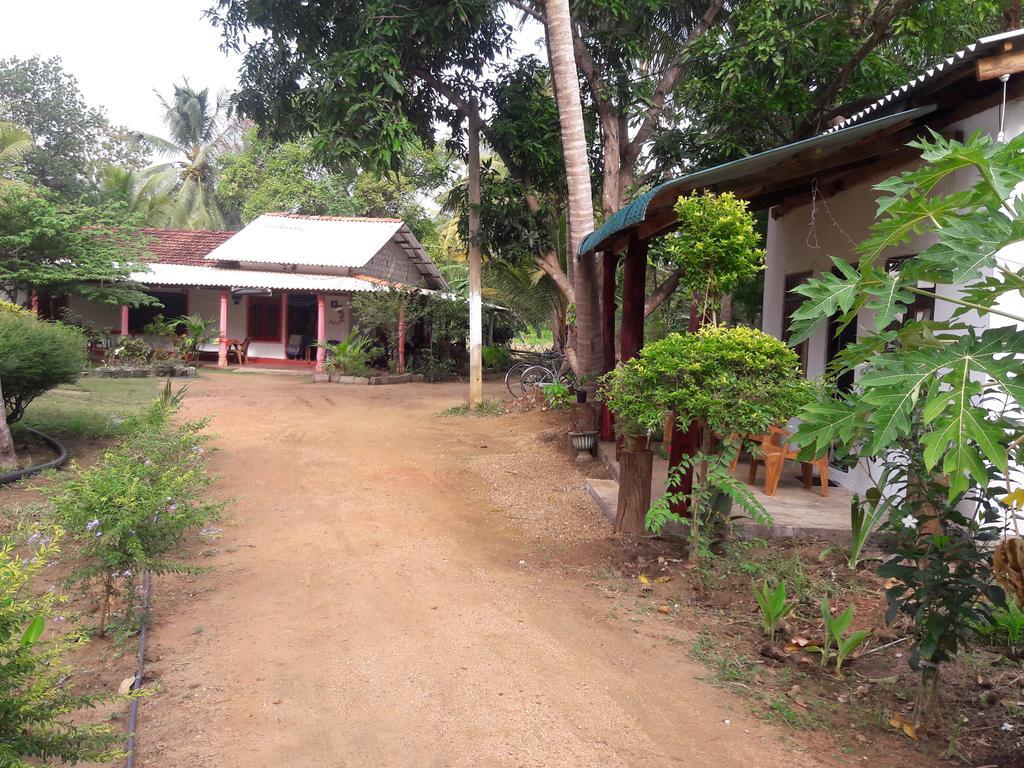 Sigiri Picaso Home Stay Σιγκιρίγια Εξωτερικό φωτογραφία