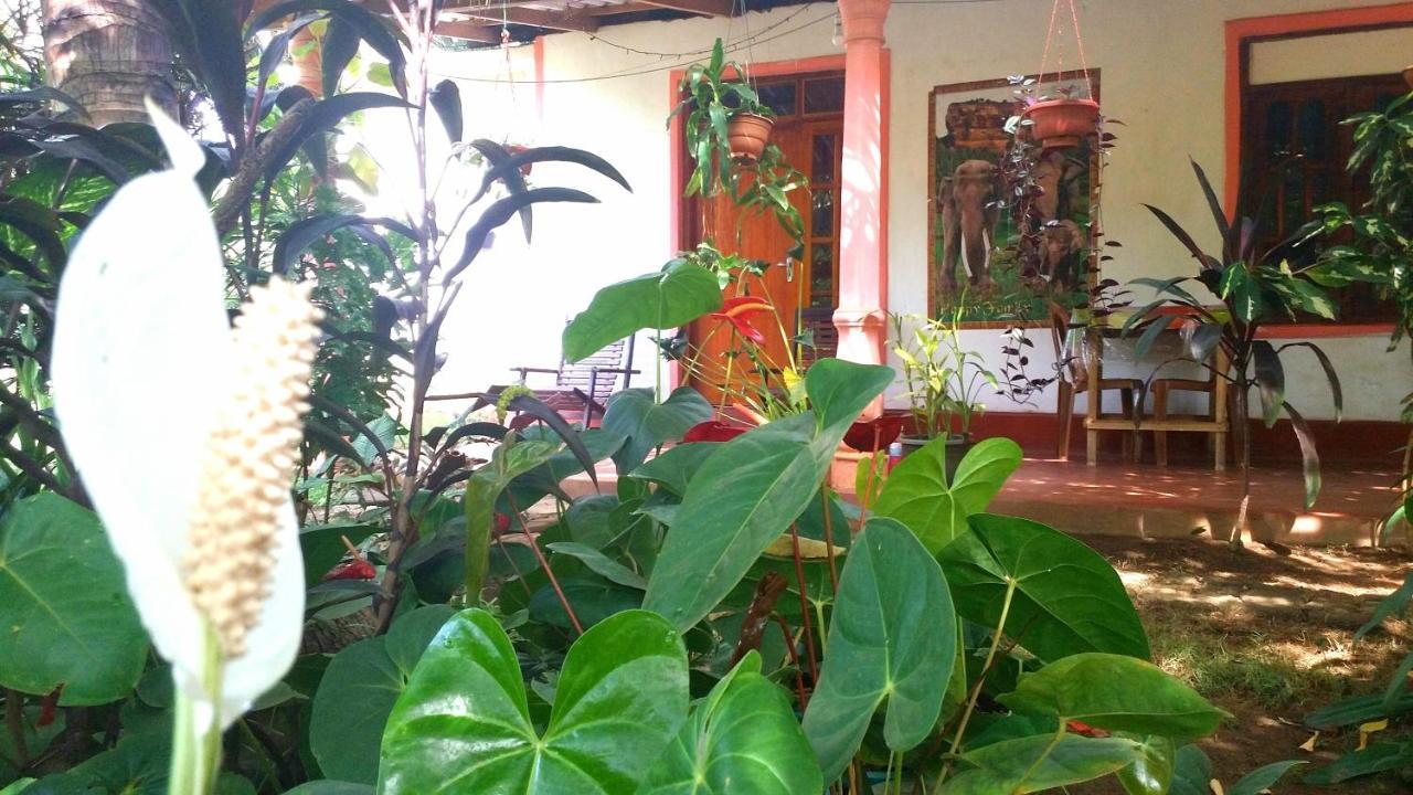 Sigiri Picaso Home Stay Σιγκιρίγια Εξωτερικό φωτογραφία