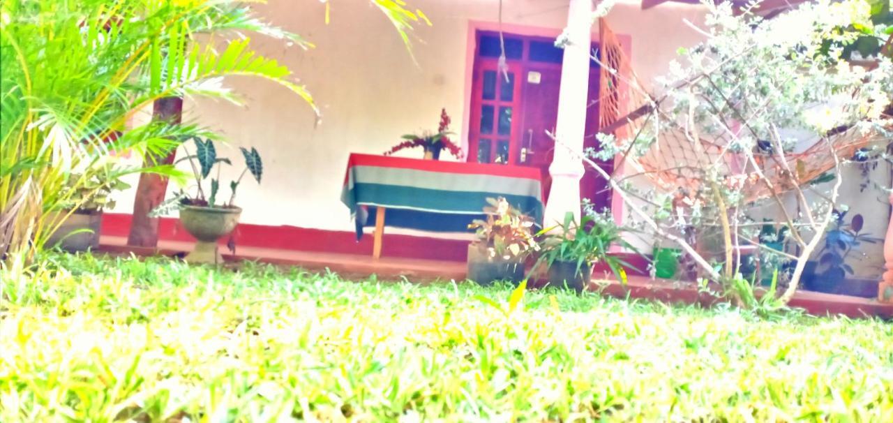Sigiri Picaso Home Stay Σιγκιρίγια Εξωτερικό φωτογραφία