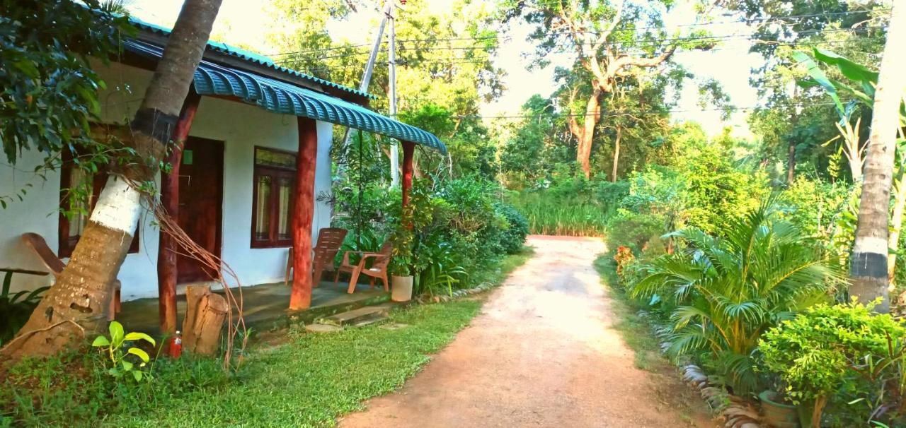 Sigiri Picaso Home Stay Σιγκιρίγια Εξωτερικό φωτογραφία